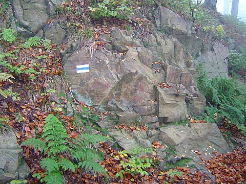 XX Rajd Wzg�rz Strzeli�skich - podej�cie na Nowolesk� Kop� s068 - PTTK Strzelin