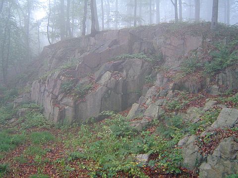 XX Rajd Wzg�rz Strzeli�skich - podej�cie na Nowolesk� Kop� s070 - PTTK Strzelin