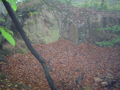 XX Rajd Wzg�rz Strzeli�skich - podej�cie na Nowolesk� Kop� s071 - PTTK Strzelin