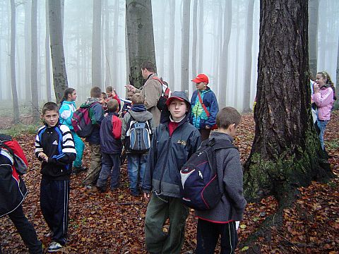 XX Rajd Wzg�rz Strzeli�skich - Nowoleska Kopa s075 - PTTK Strzelin