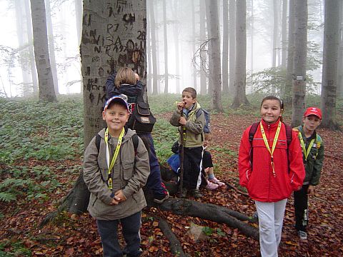 XX Rajd Wzg�rz Strzeli�skich - Nowoleska Kopa s077 - PTTK Strzelin