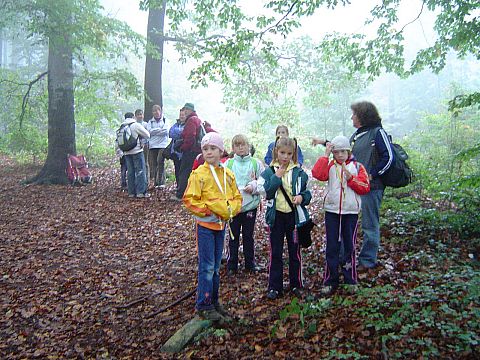 XX Rajd Wzg�rz Strzeli�skich - Nowoleska Kopa s079 - PTTK Strzelin