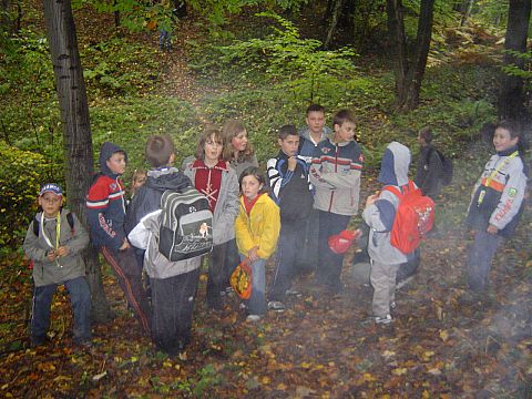 XX Rajd Wzg�rz Strzeli�skich - W�w�z Pogr�dki s081 - PTTK Strzelin