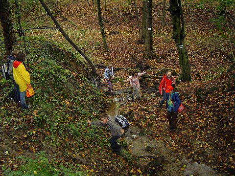 XX Rajd Wzg�rz Strzeli�skich - W�w�z Pogr�dki s087 - PTTK Strzelin