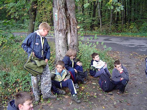 XX Rajd Wzg�rz Strzeli�skich - W�w�z Pogr�dki s095 - PTTK Strzelin