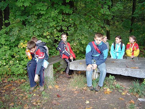 XX Rajd Wzg�rz Strzeli�skich - na szlaku niebieskim s016 - PTTK Strzelin