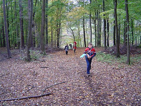 XX Rajd Wzg�rz Strzeli�skich - na szlaku niebieskim s020 - PTTK Strzelin