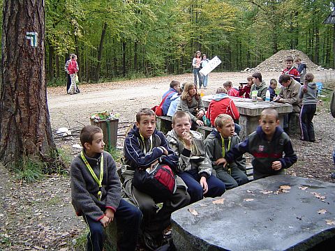 XX Rajd Wzg�rz Strzeli�skich - Skrzy�owanie pod D�bem - Trzy D�by s024 - PTTK Strzelin