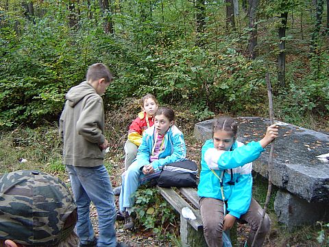 XX Rajd Wzg�rz Strzeli�skich - Skrzy�owanie pod D�bem - Trzy D�by s025 - PTTK Strzelin