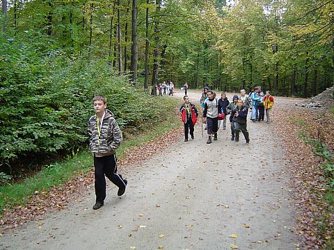 XX Rajd Wzg�rz Strzeli�skich - Skrzy�owanie pod D�bem - Trzy D�by s027 - PTTK Strzelin