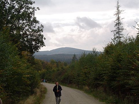 Widok na Nowolesk� Kop� z czerwonego szlaku s028 - PTTK Strzelin