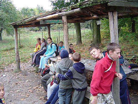 XX Rajd Wzg�rz Strzeli�skich - Go�ci�cice �rednie ko�o le�nicz�wki s031 - PTTK Strzelin