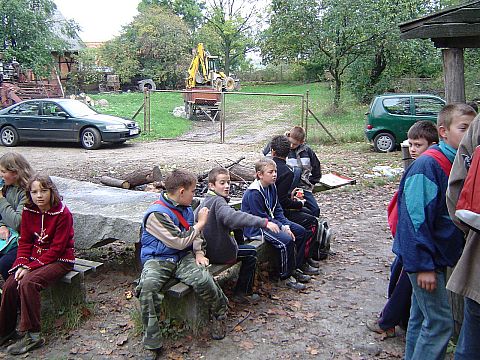 XX Rajd Wzg�rz Strzeli�skich - Go�ci�cice �rednie ko�o le�nicz�wki s032 - PTTK Strzelin