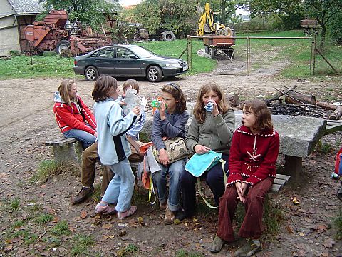 XX Rajd Wzg�rz Strzeli�skich - Go�ci�cice �rednie ko�o le�nicz�wki s033 - PTTK Strzelin