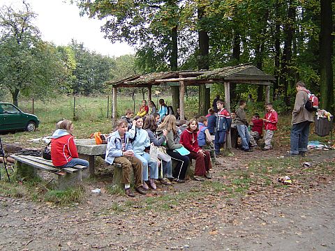 XX Rajd Wzg�rz Strzeli�skich - Go�ci�cice �rednie ko�o le�nicz�wki s034 - PTTK Strzelin