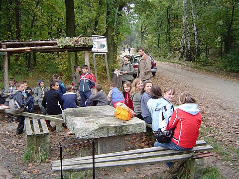 XX Rajd Wzg�rz Strzeli�skich - Go�ci�cice �rednie ko�o le�nicz�wki s035 - PTTK Strzelin