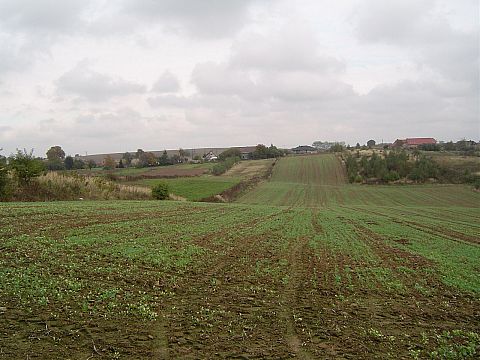 XX Rajd Wzg�rz Strzeli�skich - Go�ci�cice �rednie s037 - PTTK Strzelin