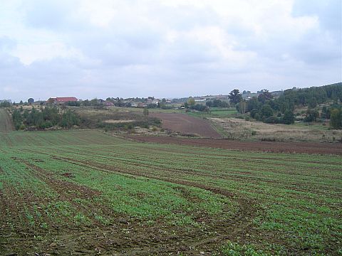 XX Rajd Wzg�rz Strzeli�skich - Go�ci�cice �rednie s038 - PTTK Strzelin