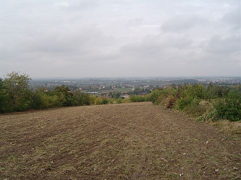 XX Rajd Wzg�rz Strzeli�skich - widok z Kozi�ca na Strzelin s040 - PTTK Strzelin