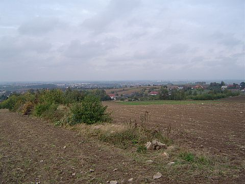 XX Rajd Wzg�rz Strzeli�skich - widok z Kozi�ca na Strzelin s041 - PTTK Strzelin