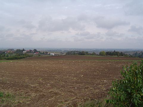 XX Rajd Wzg�rz Strzeli�skich - widok z Kozi�ca na Strzelin s042 - PTTK Strzelin