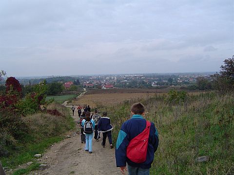 Widok na Strzelin z czerwonego szlaku s054 - PTTK Strzelin