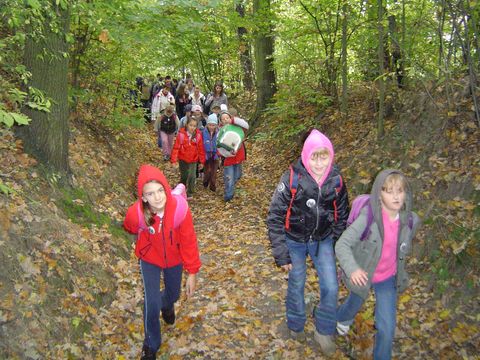 XXI Rajd Wzg�rz Strzeli�skich - w drodze na Ostr� G�r� s031 - PTTK Strzelin