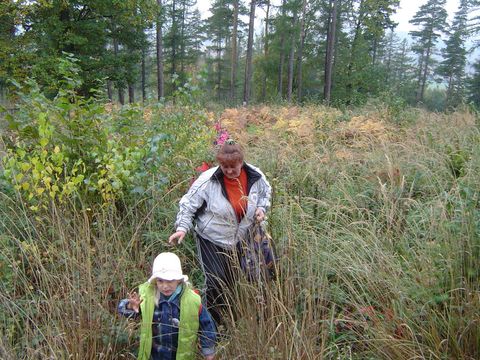 XXI Rajd Wzg�rz Strzeli�skich - w drodze na Ostr� G�r� s036 - PTTK Strzelin