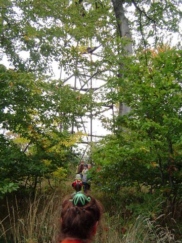 XXI Rajd Wzg�rz Strzeli�skich - w drodze na Ostr� G�r� s037 - PTTK Strzelin