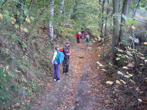 XXI Rajd Wzg�rz Strzeli�skich - w drodze do Piotrk�wka s068 - PTTK Strzelin