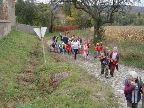 XXI Rajd Wzg�rz Strzeli�skich - Piotrk�wek s070 - PTTK Strzelin