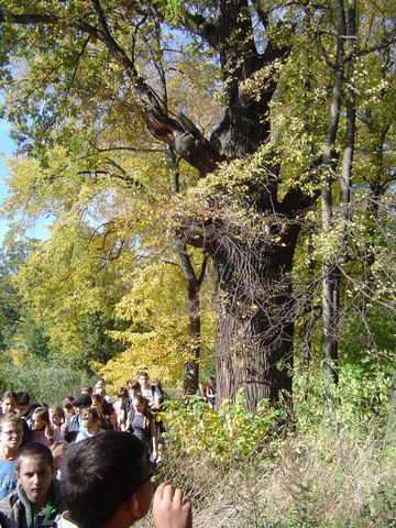�cie�ka edukacyjno-przyrodnicza Ligota Ma�a - Przerzeczyn-Zdr�j s060 - PTTK Strzelin