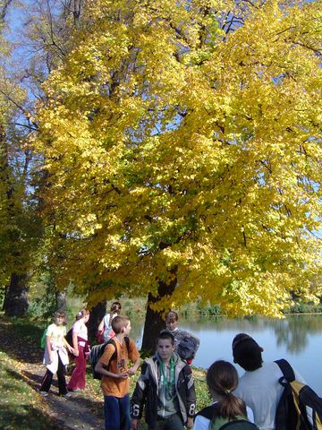 �cie�ka edukacyjno-przyrodnicza Ligota Ma�a - Przerzeczyn-Zdr�j s063 - PTTK Strzelin