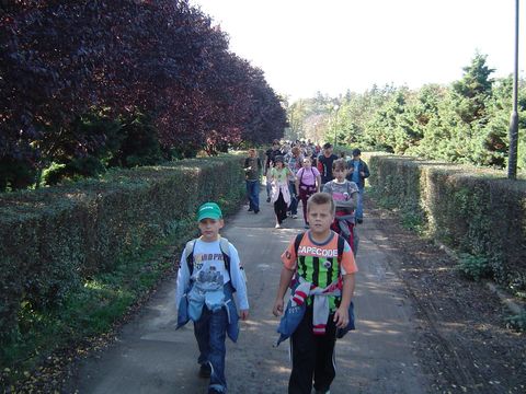 XXI Rajd Wzg�rz Strzeli�skich - Przerzeczyn-Zdr�j s089 - PTTK Strzelin