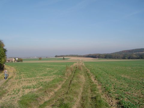 XXI Rajd Wzg�rz Strzeli�skich - wzg�rza ko�o Czerwie�ca s058 - PTTK Strzelin