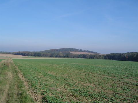 XXI Rajd Wzg�rz Strzeli�skich - wzg�rza ko�o Czerwie�ca s059 - PTTK Strzelin