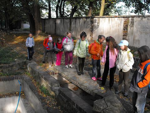 XXII Rajd Wzg�rz Strzeli�skich - pa�ac w Sulis�awiu s008 - PTTK Strzelin