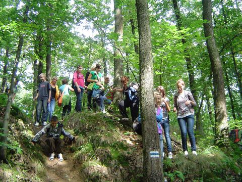 XXIII Rajd Wzg�rz Strzeli�skich - Garnczarek