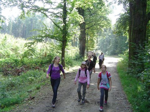 XXIII Rajd Wzg�rz Strzeli�skich - Skrzy�owanie pod D�bem