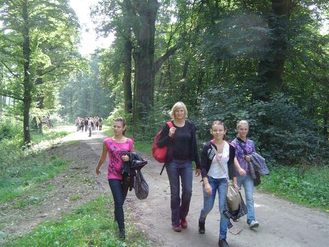 XXIII Rajd Wzg�rz Strzeli�skich - Skrzy�owanie pod D�bem - PTTK Strzelin