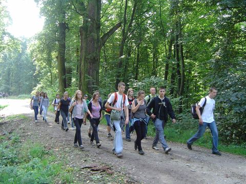 XXIII Rajd Wzg�rz Strzeli�skich - Skrzy�owanie pod D�bem