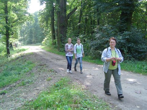 XXIII Rajd Wzg�rz Strzeli�skich - Skrzy�owanie pod D�bem