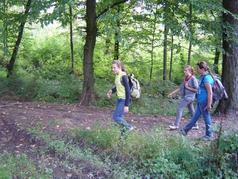 XXIII Rajd Wzg�rz Strzeli�skich - Skrzy�owanie pod D�bem