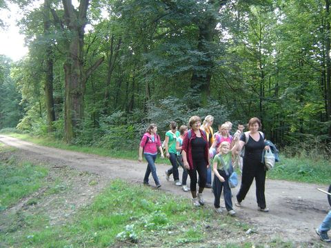 XXIII Rajd Wzg�rz Strzeli�skich - Skrzy�owanie pod D�bem