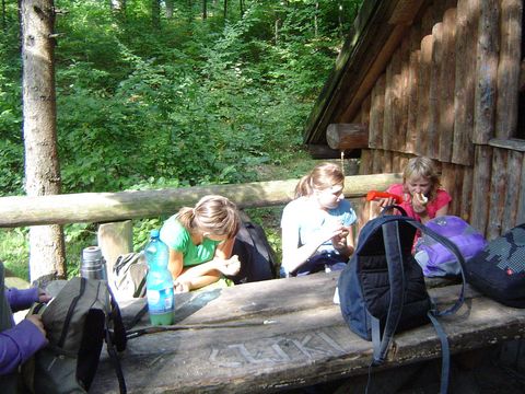 XXIII Rajd Wzg�rz Strzeli�skich - Skrzy�owanie pod D�bem