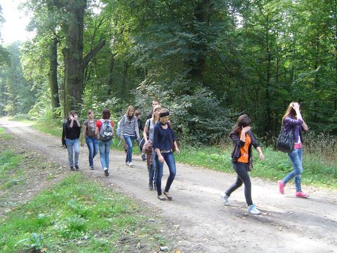 XXIII Rajd Wzg�rz Strzeli�skich - Skrzy�owanie pod D�bem