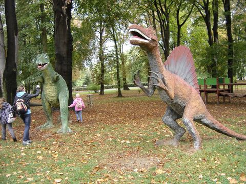 XXIV Rajd Wzg�rz Strzeli�skich - Zi�bice