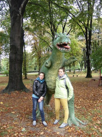 XXIV Rajd Wzg�rz Strzeli�skich - Zi�bice