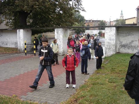 XXIV Rajd Wzg�rz Strzeli�skich - Zi�bice - mury obronne