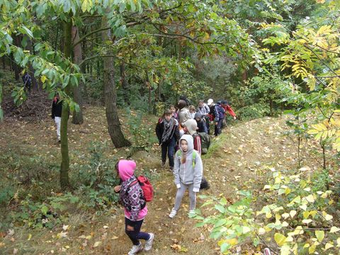 XXIV Rajd Wzg�rz Strzeli�skich - Ska�ki Skalickie